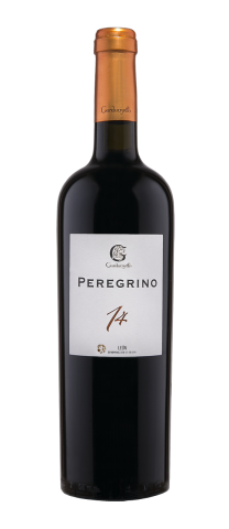 PEREGRINO 14 2017